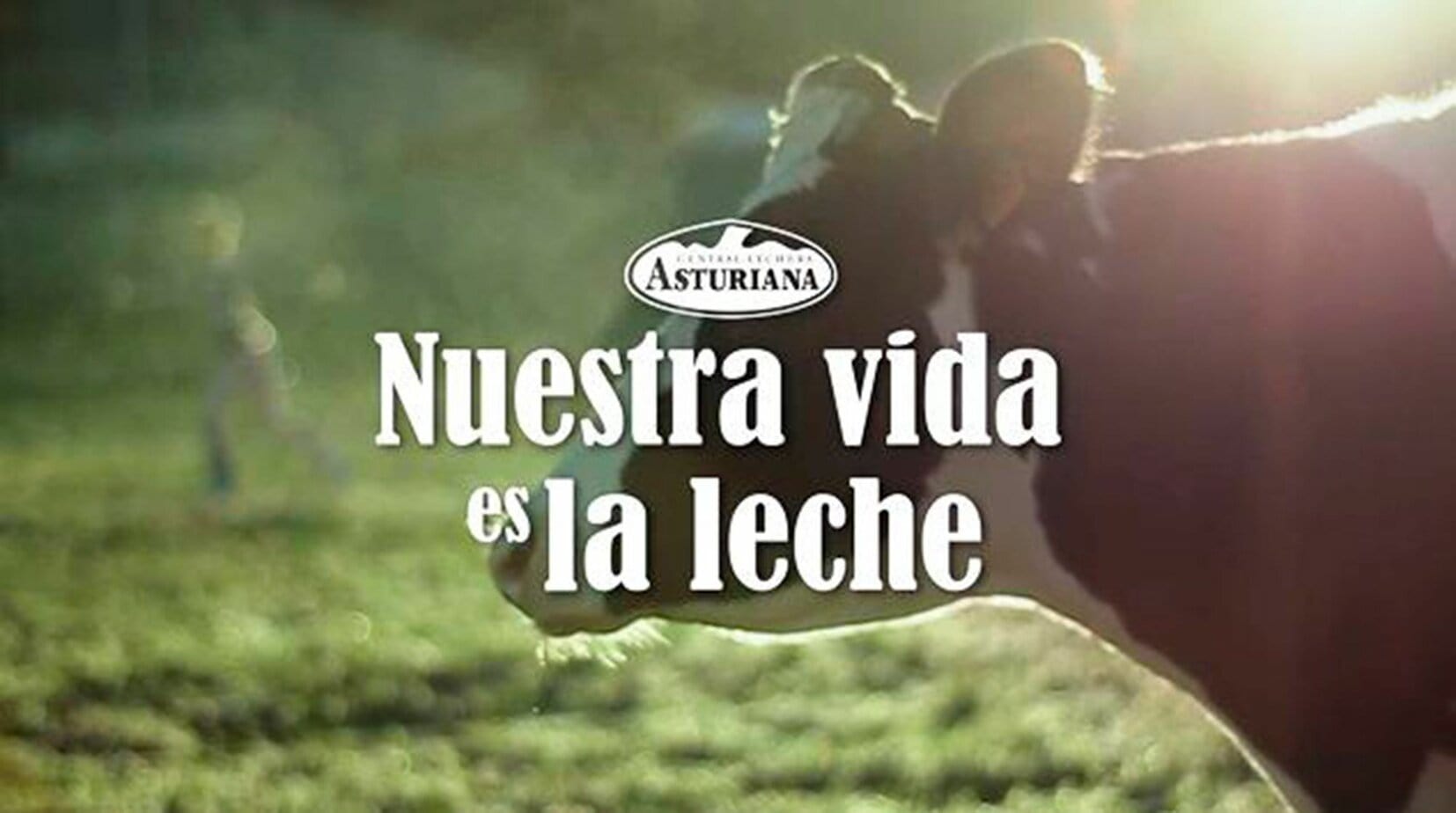 copywriter-que-es-anuncio